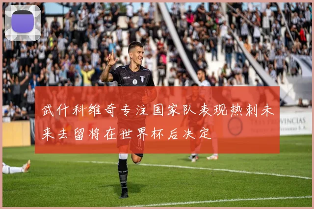 武什科维奇专注国家队表现热刺未来去留将在世界杯后决定