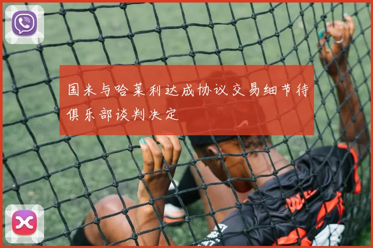国米与哈莱利达成协议交易细节待俱乐部谈判决定